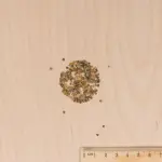 Fleurs - Giroflée d'Hiver de Nice Variée - MEDIA_3D